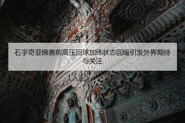 石宇奇亚锦赛前高压回球加练状态回暖引发外界期待与关注